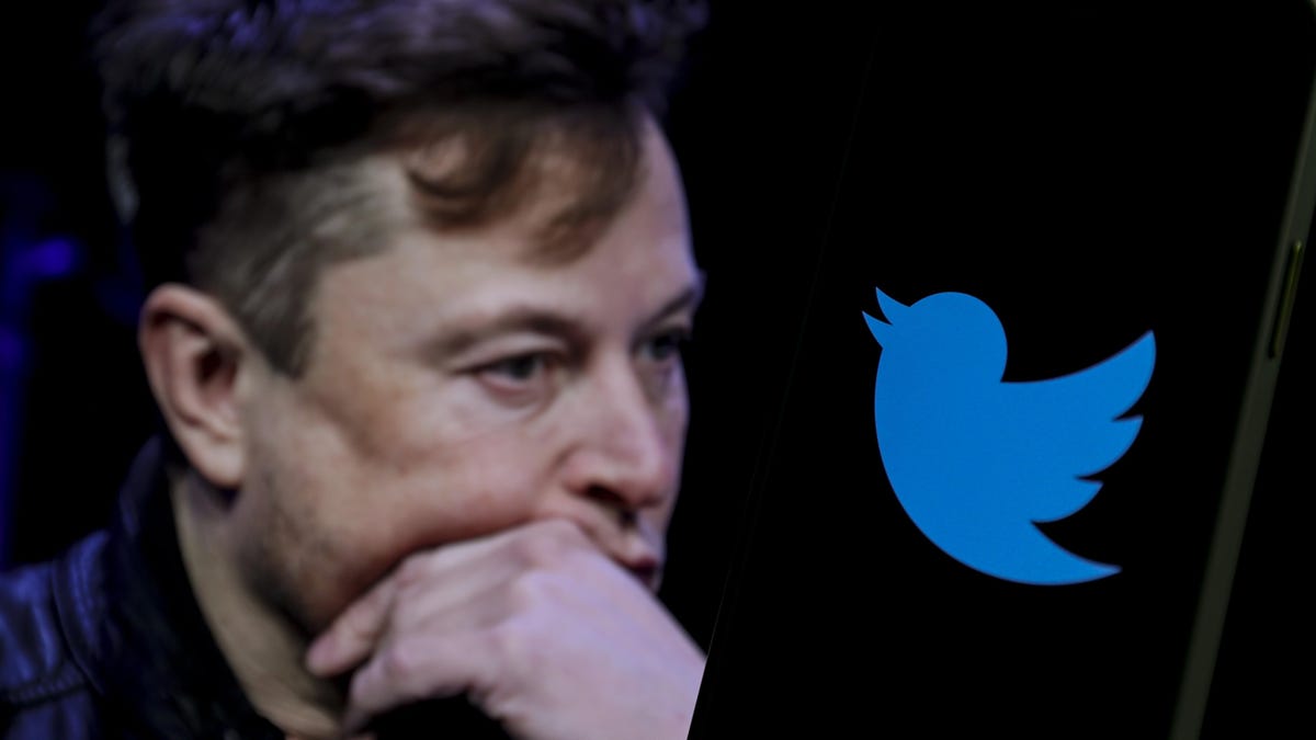 Japanese Av Twitter - Elon Musk Guts Twitter Team Handling Child Sexual Abuse After Claiming  Child Safety Is 'Priority #1'