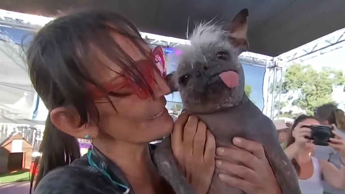 Meet 2022's World's Ugliest Dog winner, Mr. Happy Face