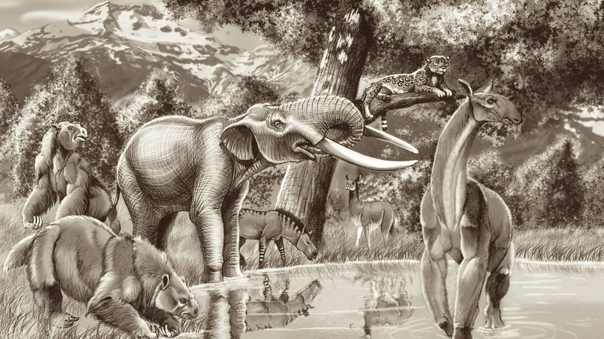 Notiomastodon Was an Elephant-Like Giant That Roamed Pleistocene South America