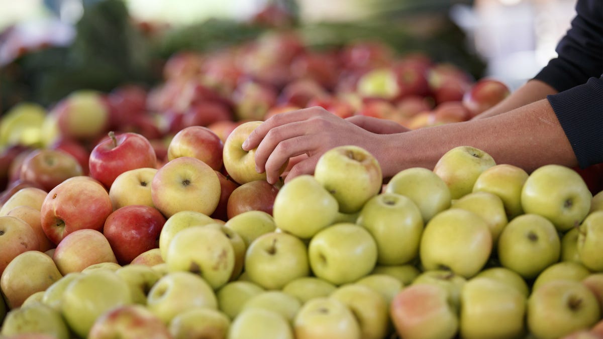 Genetically Modified Apples That Dont Brown Are For Sale In The Us 2546