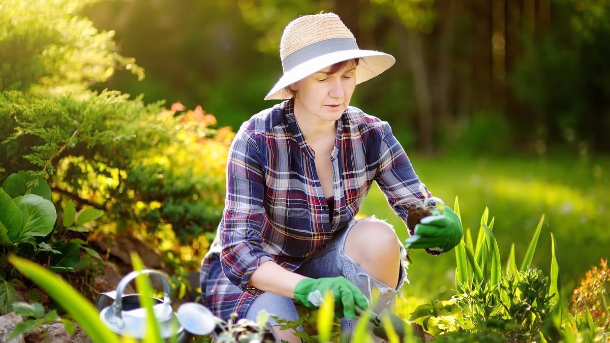Most Common Mistakes Made By Home Gardeners