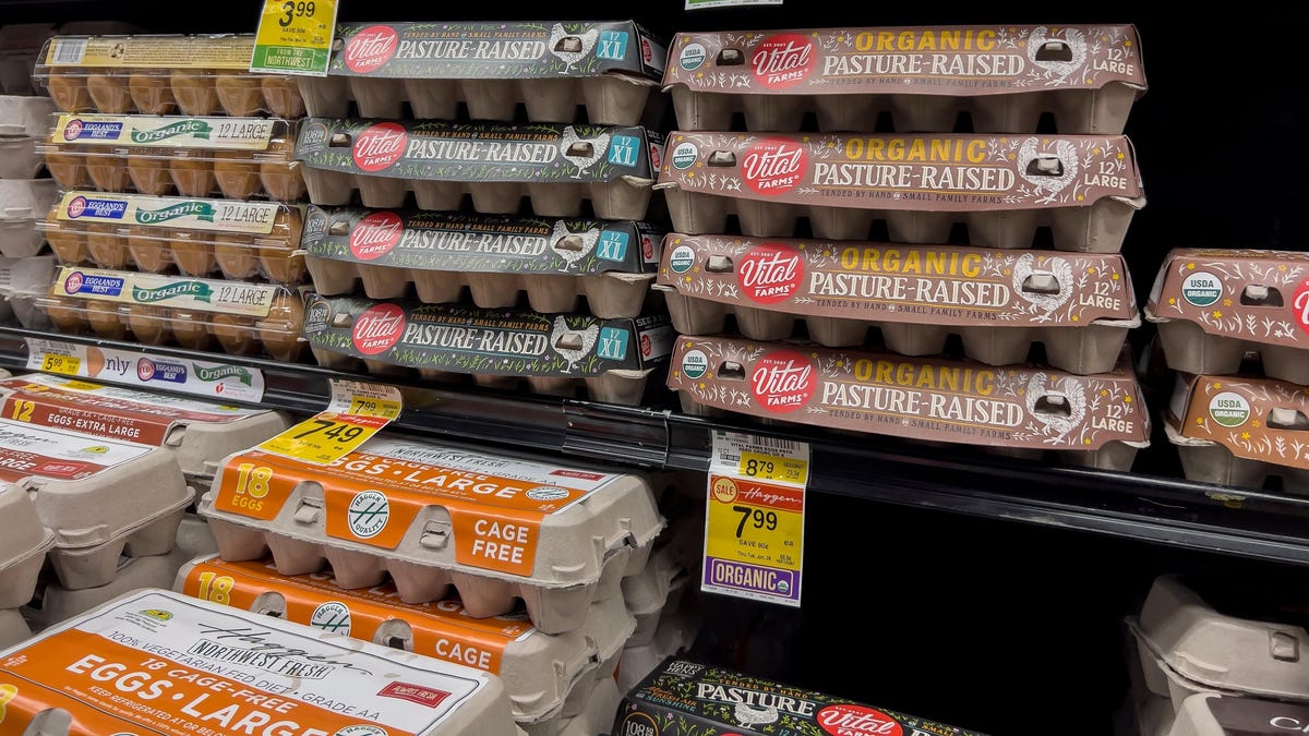 Why Eggs Are so Expensive Right Now