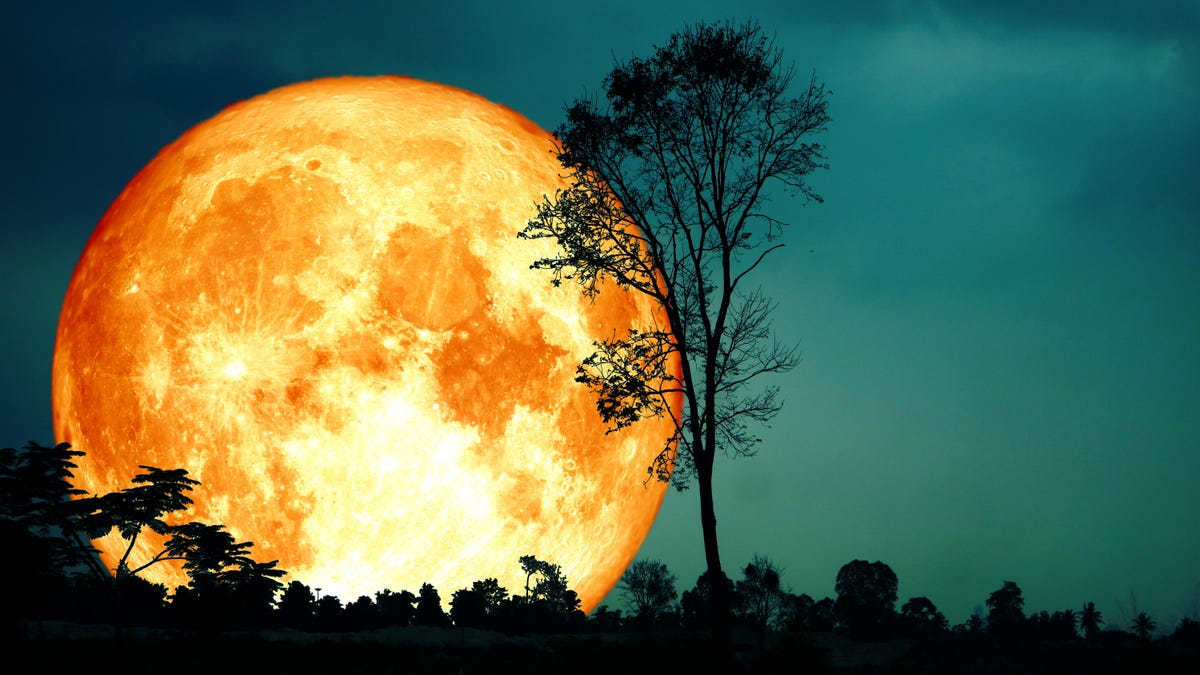 When to See the 'Harvest Moon' at Peak Brilliance This Month - Lifehacker