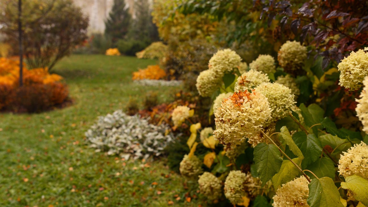 It's Time to Stop Watering Your Garden This Fall