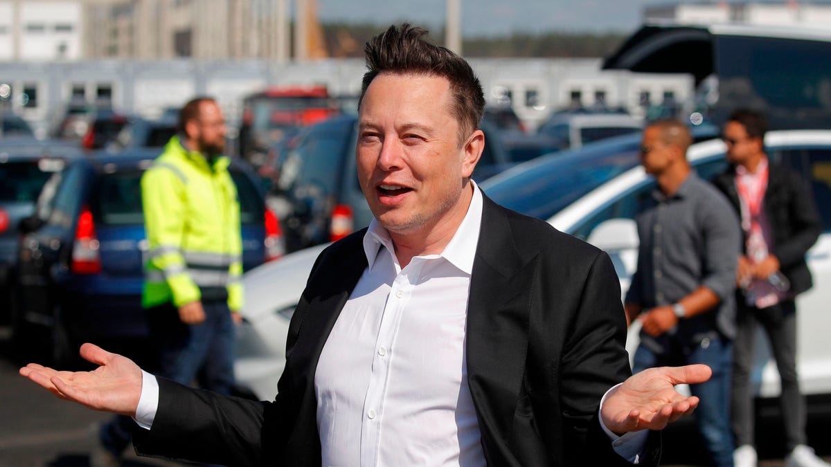 Elon Musk glaubt zu wissen, wem er die Schuld gibt