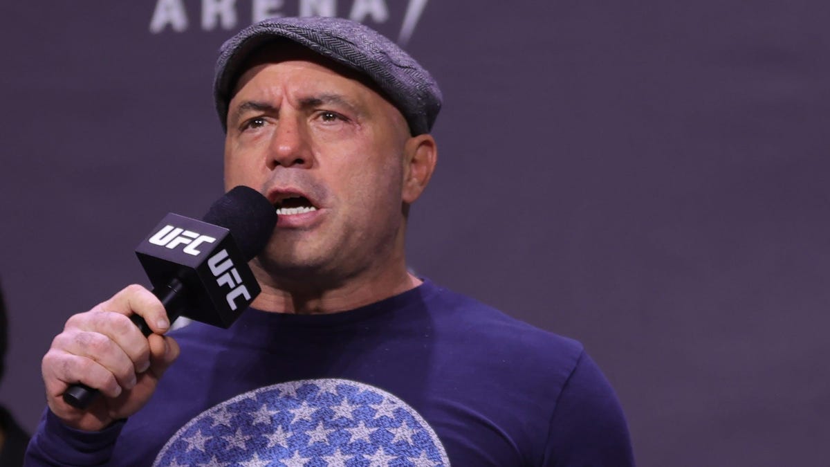 Patriot Front Racists Mostly Glad Joe Rogan Called Them ‘Feds’
