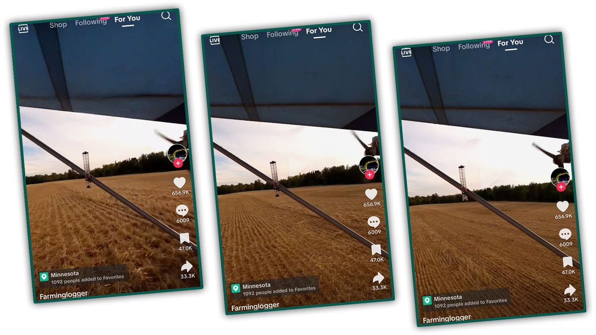 Watch A 0 Homemade Airplane Take To The Skies