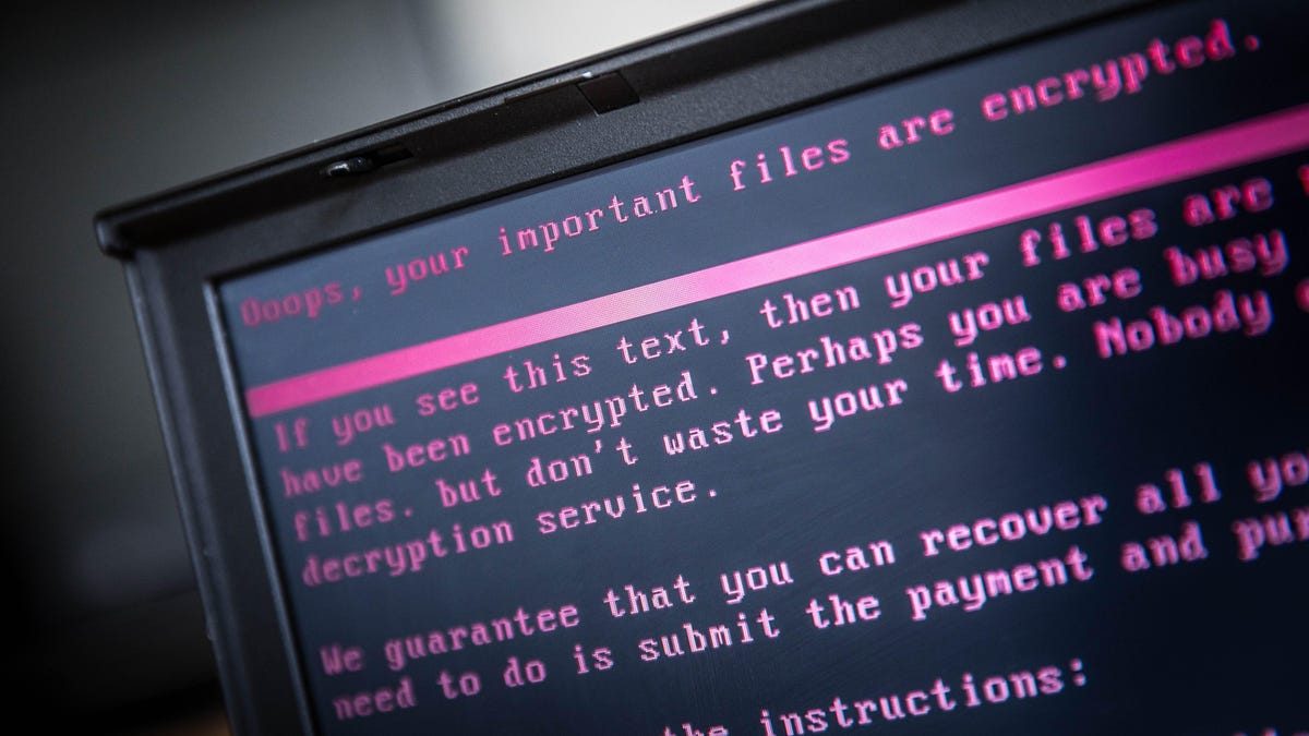 Europol Captures 12 Behind Ransomware Attacks on 1,800 Victims