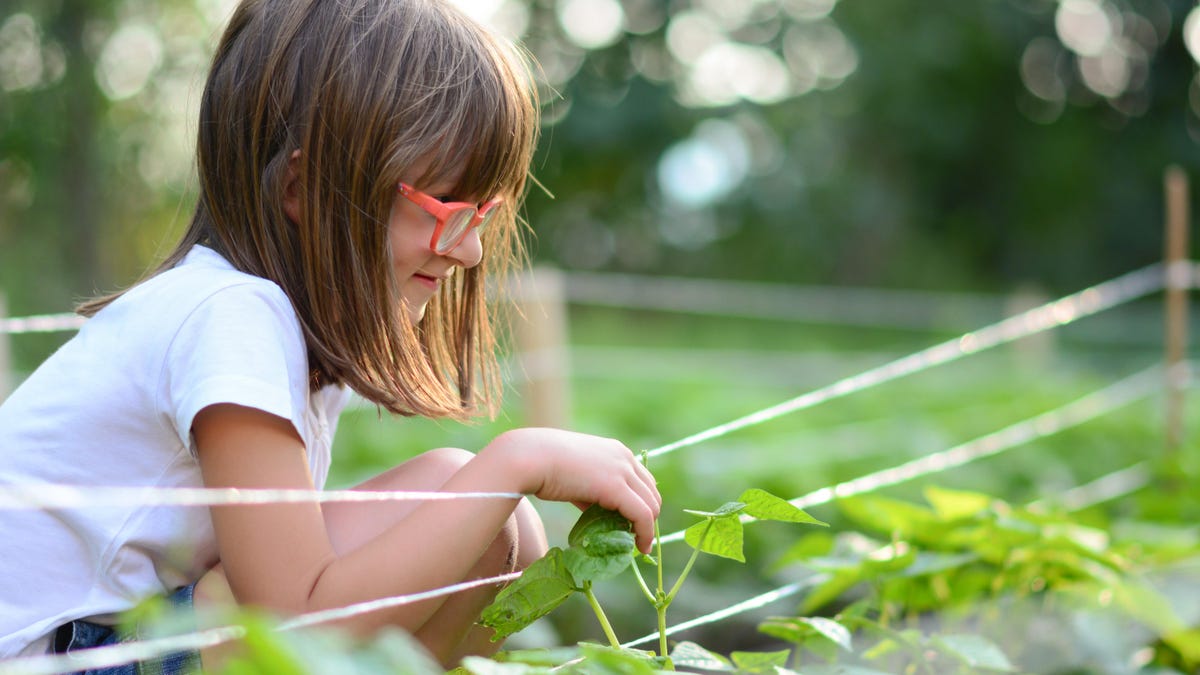 10 of the Best Crops to Grow With Children