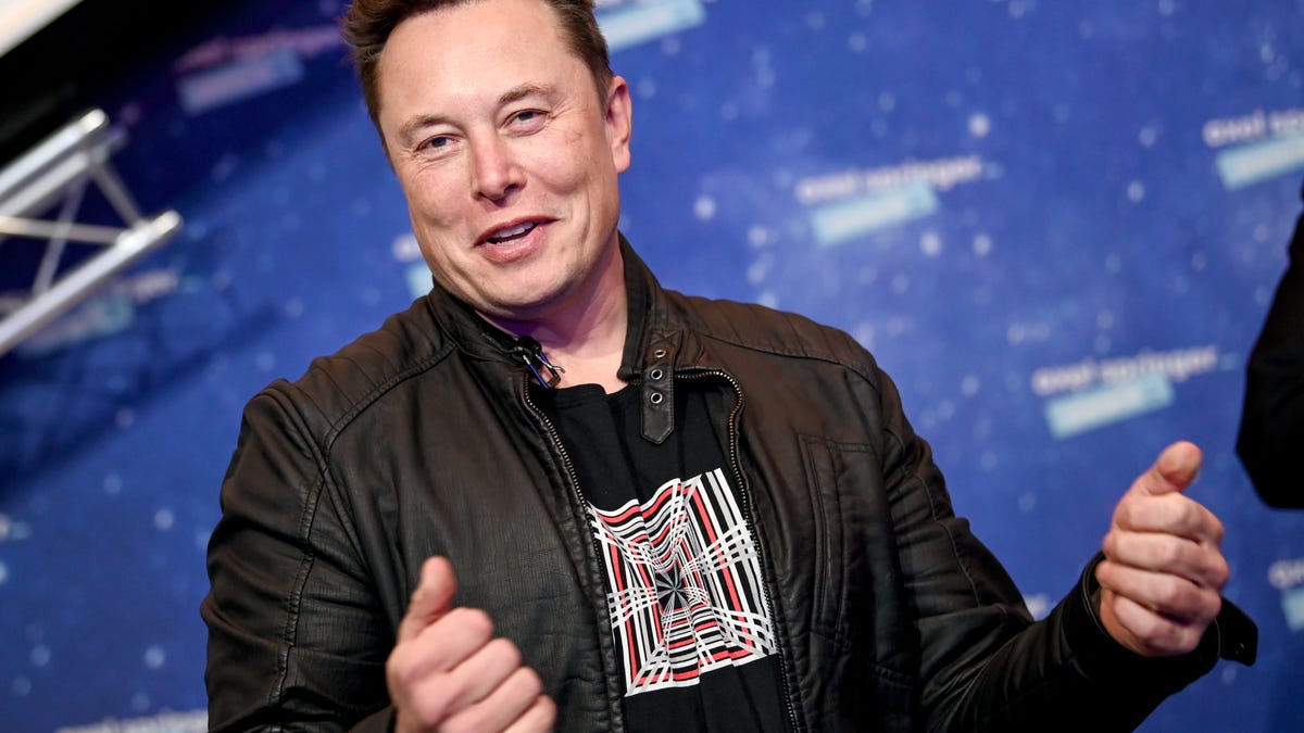 Elon Musk Wants You to Procreate Right Now
