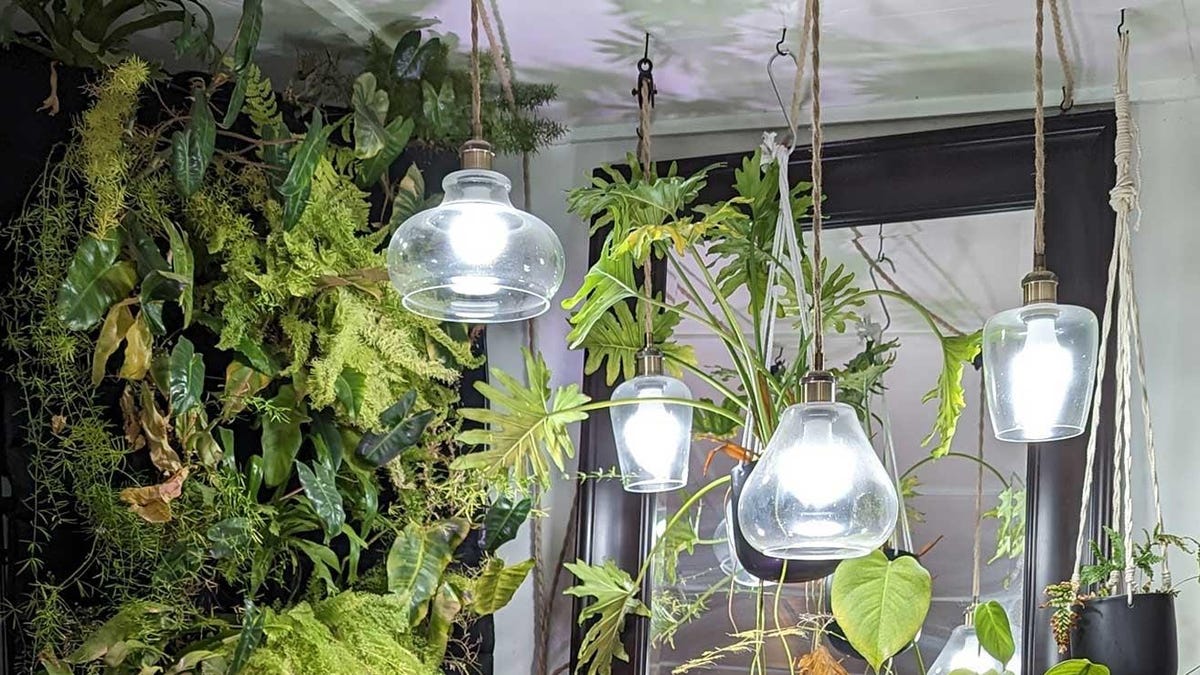 How to Make Your Own (Cuter) DIY Grow Lamps