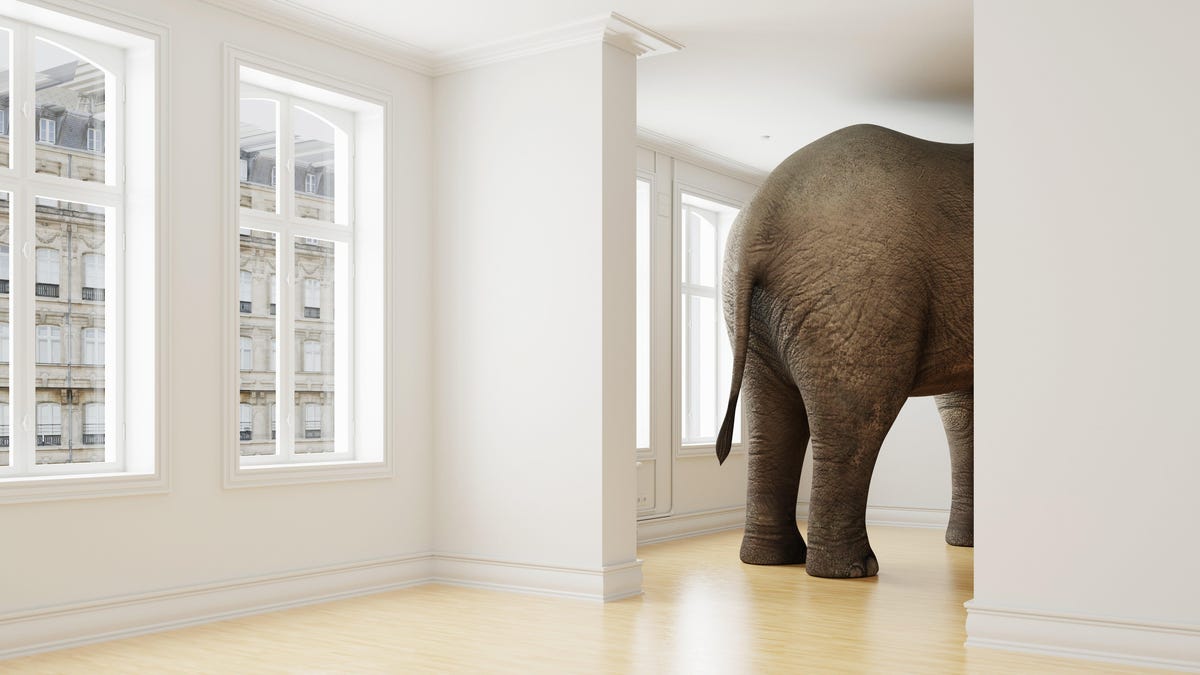 Слон в квартире