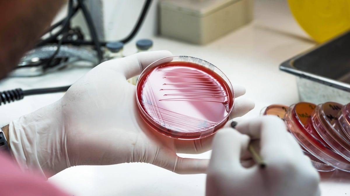 CDC Warns of Alarming Increase in Drug-Resistant Germs