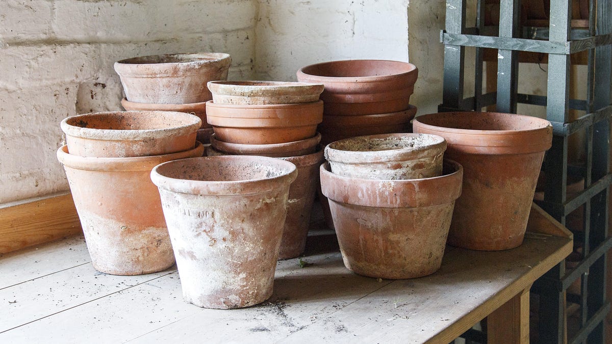 How to Clean That White Residue From Your Terracotta Pots thumbnail