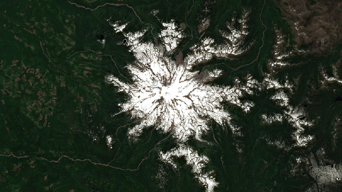 Satellites Images Show Shocking Toll Of Pacific Northwest Heat Wave 1044