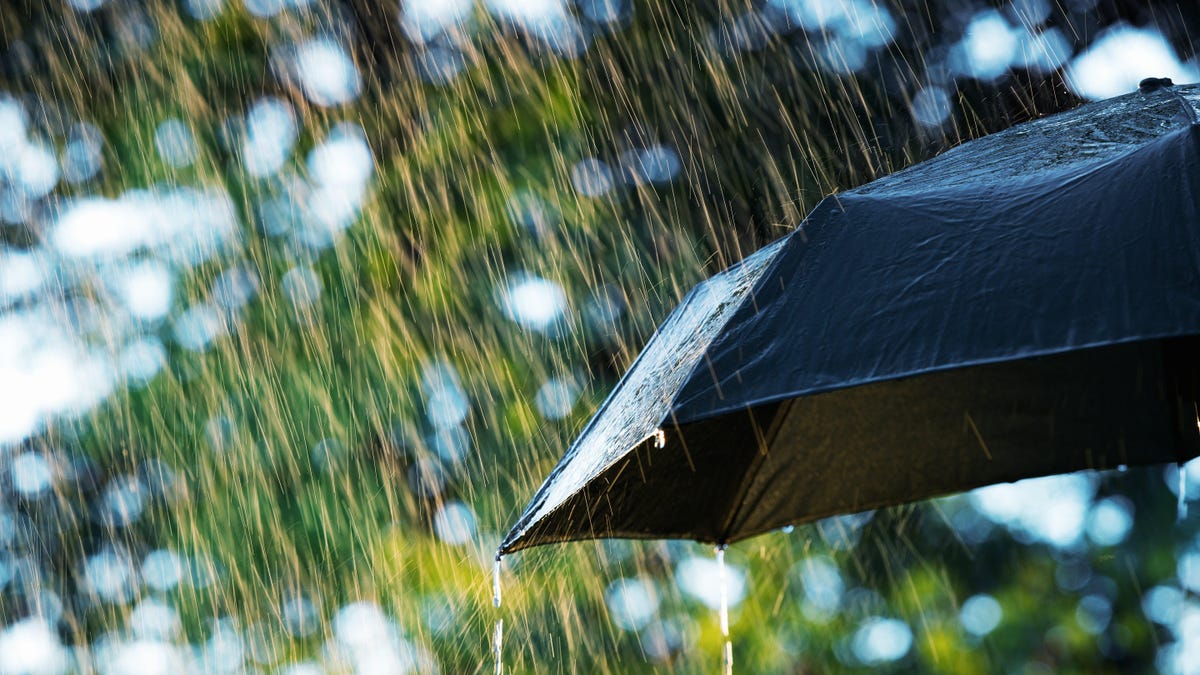 Expect a ‘Soggy, Shivery Spring’ This Year