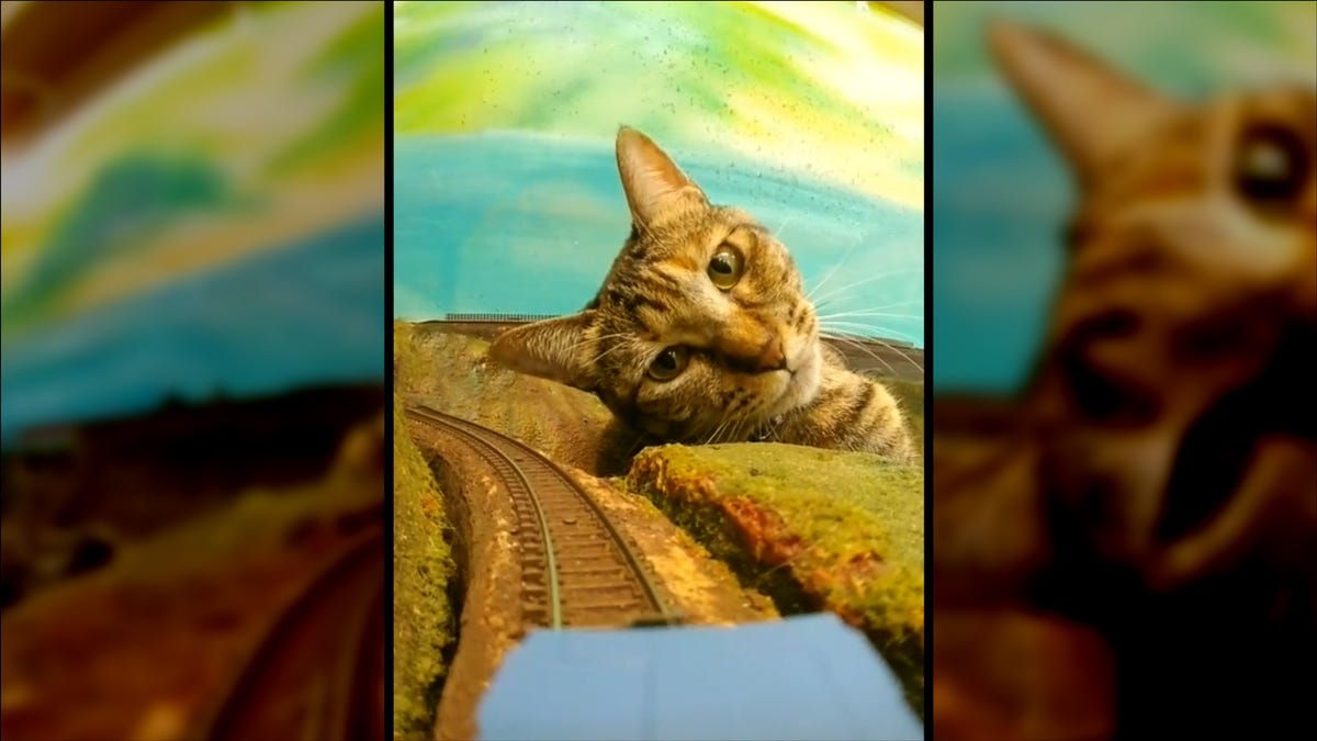TikTok Account Turns IRL Cats Into Godzilla On Model Trains