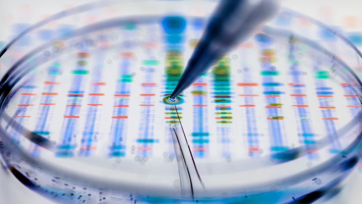 Un pionero del genoma humano habla sobre el futuro de la genética