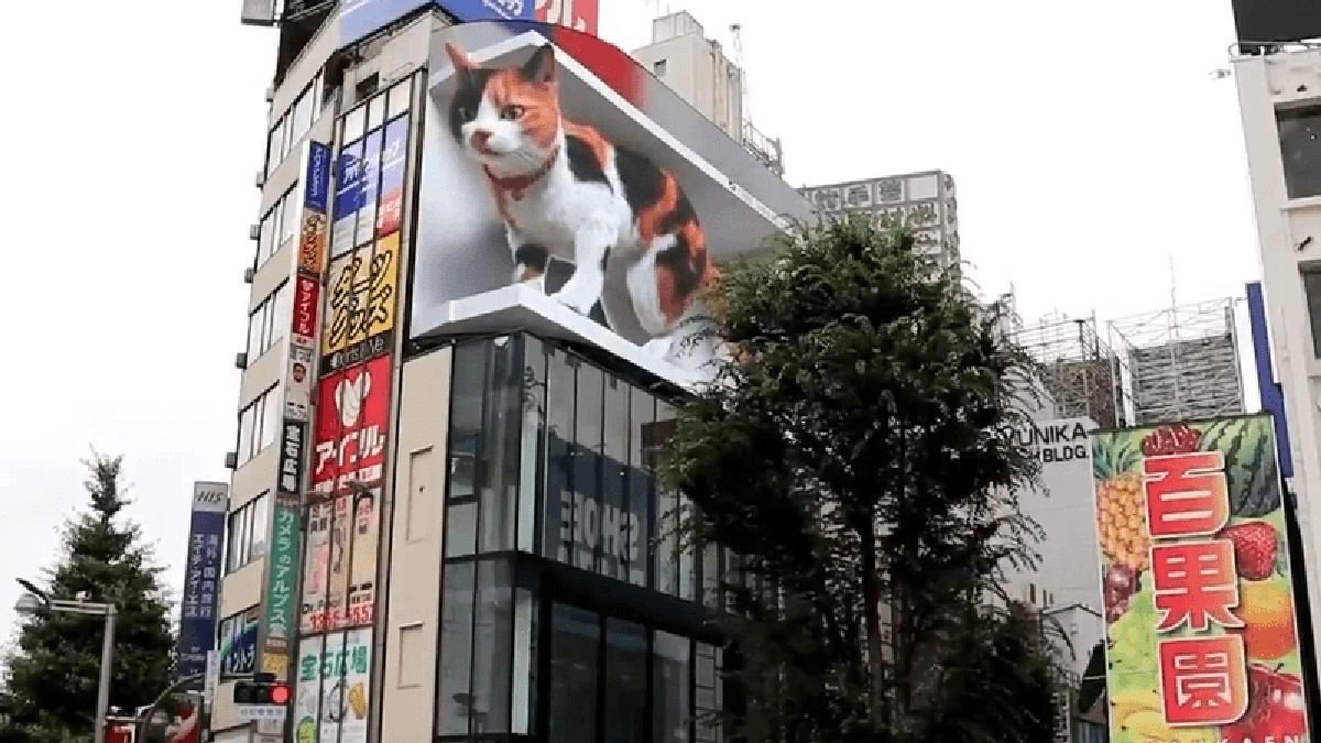 3D Billboard of Giant Cat Looks Less Impressive From Other Side of the Street