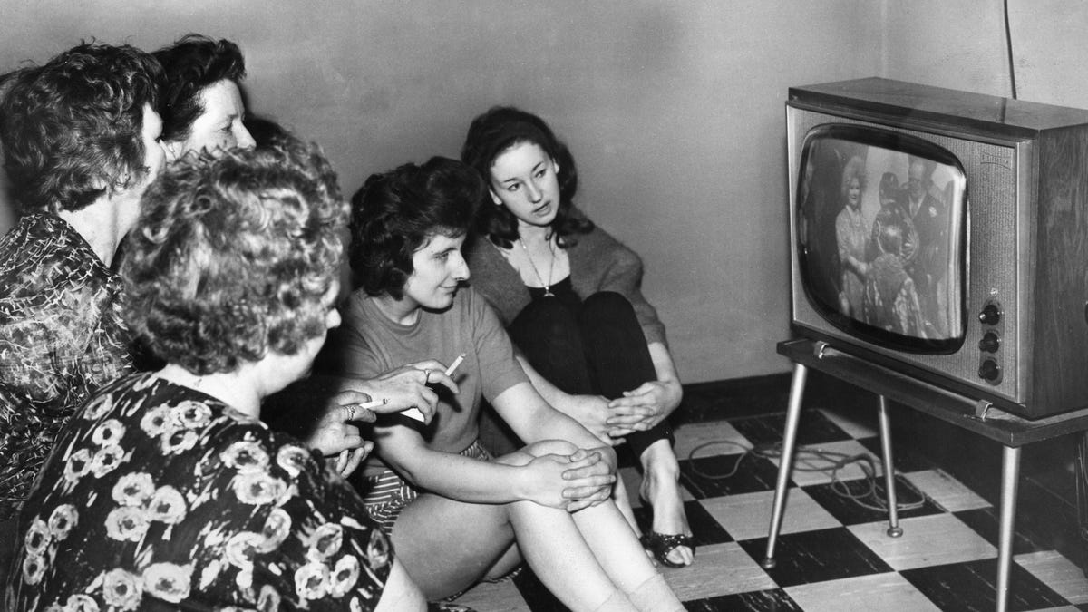 The Buzzy TV, Erotic Thrillers, and Obscure TikToks That Got Us Through