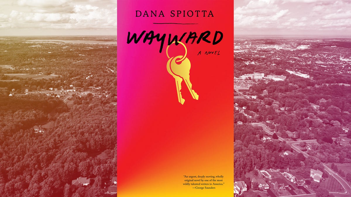 Wayward by Dana Spiotta review: The novel wanders into clumsy commentary