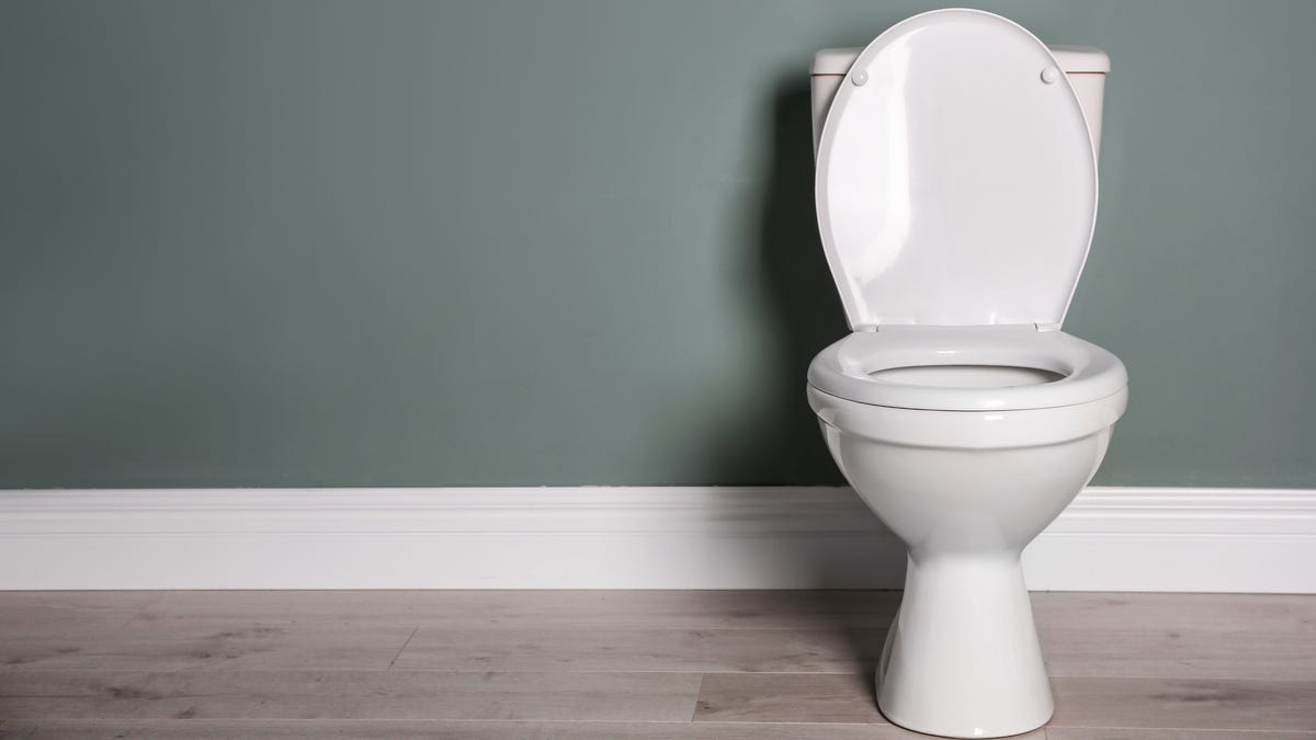 Apply For A Job That Pays 10k To Keep Track Of Toilet Habits