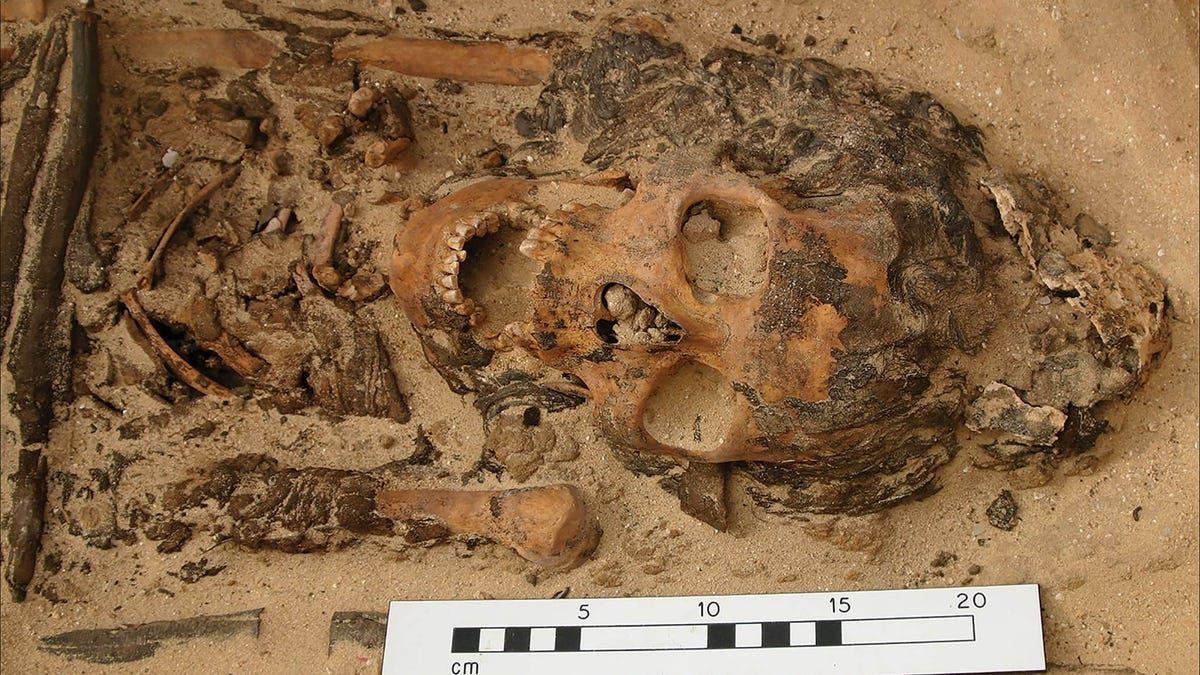 New Evidence Suggests Ancient Egyptian Head Cones Were Real