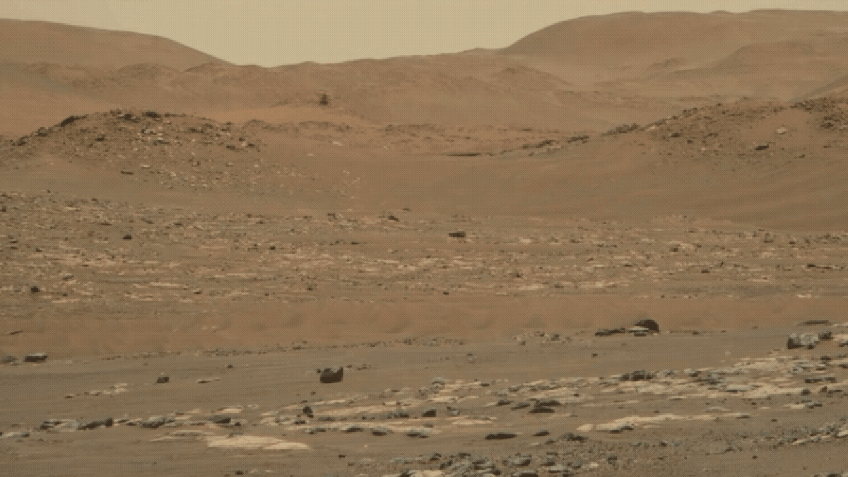 Perseverance Rover surprinde un videoclip uimitor al unui elicopter care zboară pe Marte Perseverance Rover surprinde un videoclip uimitor al unui elicopter care zboară pe Marte