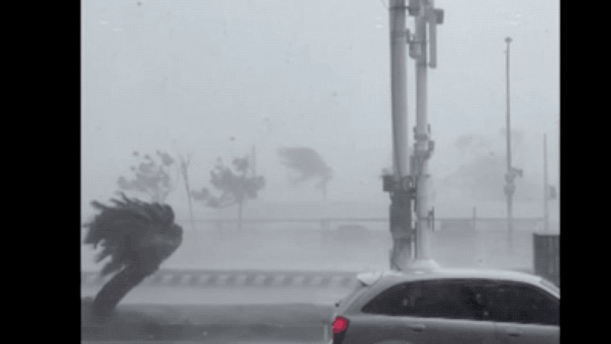 Watch Typhoon Haikui Push Car Backwards As It Drives Into Wind | Automotiv