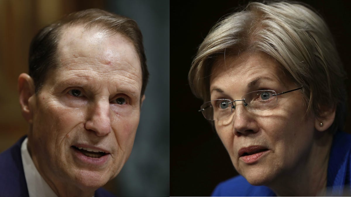 Sens. Elizabeth Warren, Ron Wyden Warn of Ethos Capital's .Org Buy