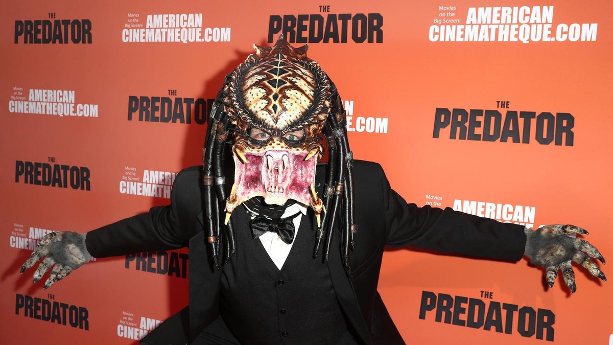new predator movie release date