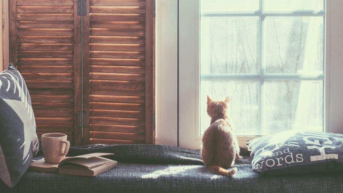 Sorry, Winter Mornings Won't Get Brighter Until January