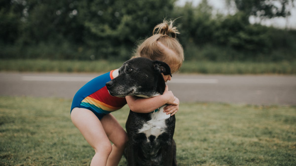 Apply To Adopt A Mutt For National Mutt Day