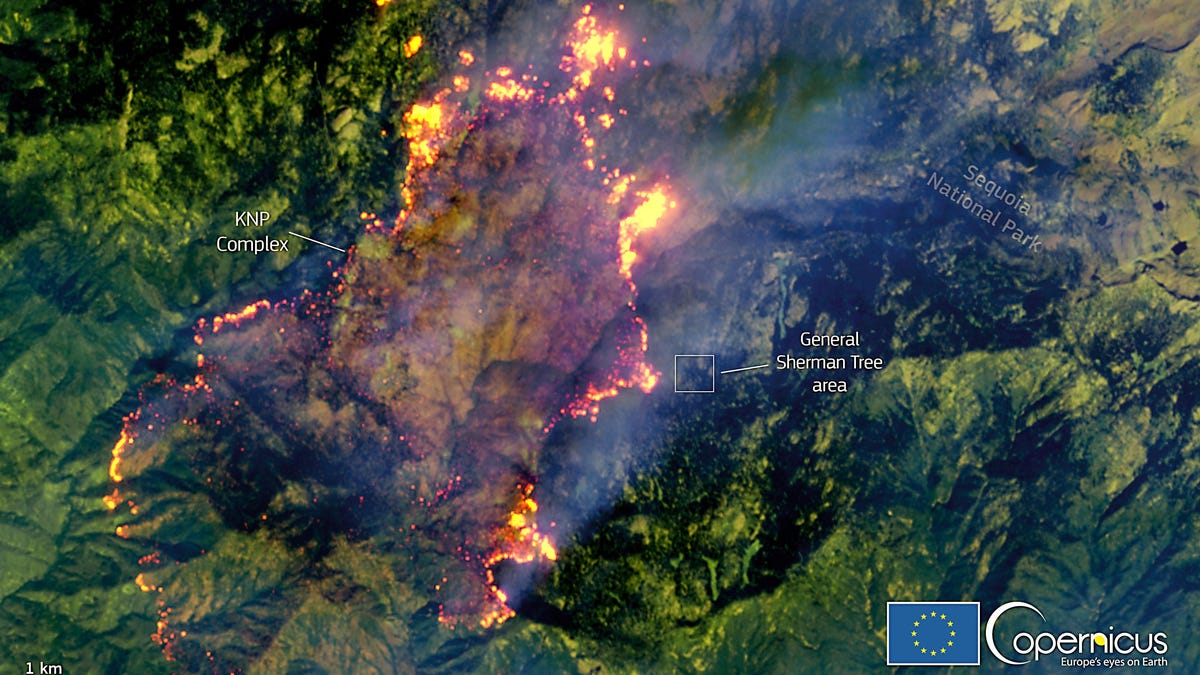 Satellite Image Shows KNP Complex Fire Close to General Sherman