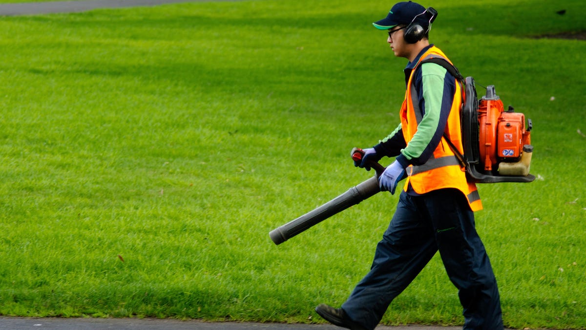 Your City May Have Banned Leaf Blowers thumbnail