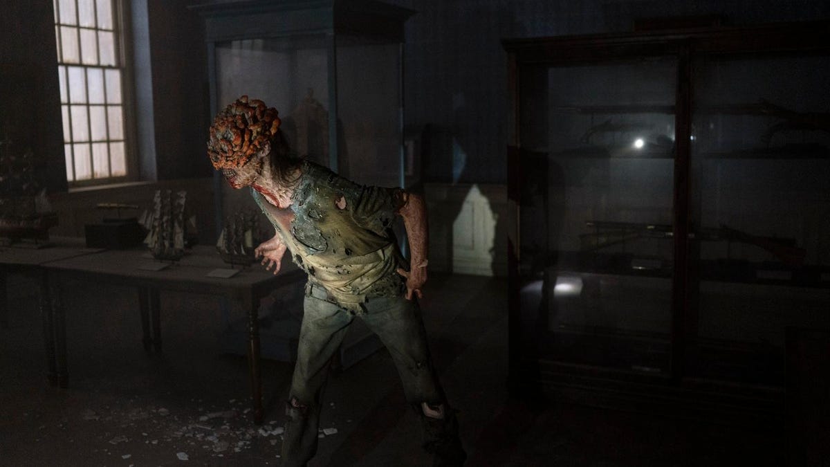 The Last of Us Is Right: Climate Change Is Making Fungi More Dangerous