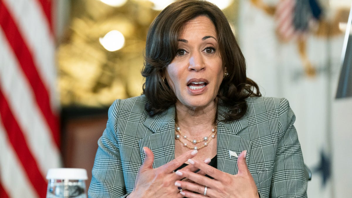 Vice President Harris Speaks Out Against Florida's Controversial New ...