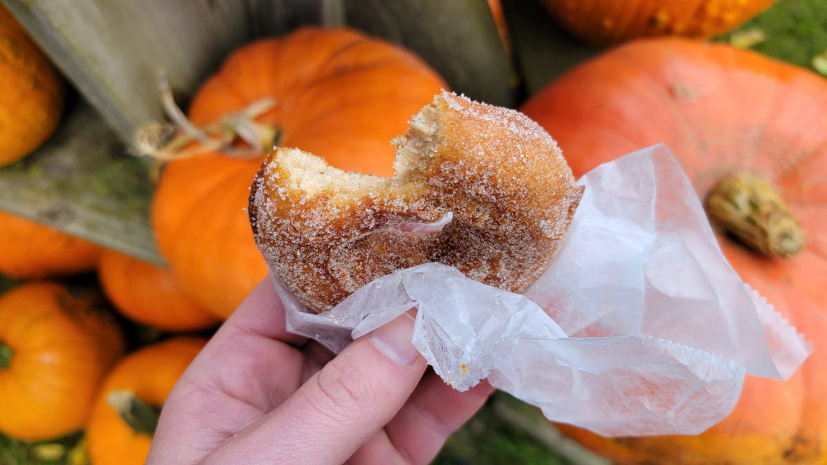 Where to Find the Best Apple Cider Doughnuts This Season
