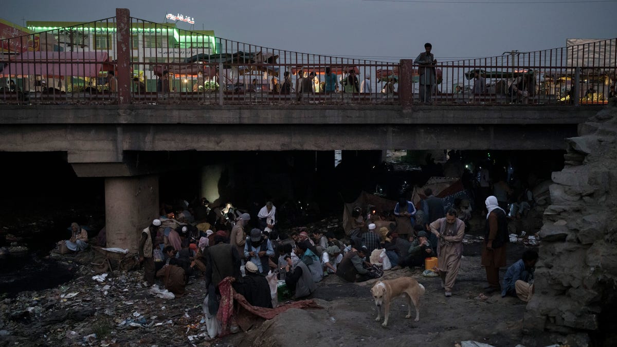 Afghanistan is the fastest-growing maker of methamphetamine, UN drug agency says