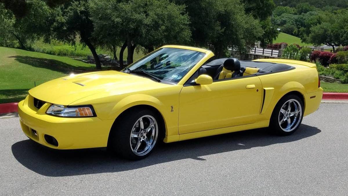 At $19,900, Would You Let This 2003 Ford Mustang Cobra Sink Its Fangs Into Your Wallet?