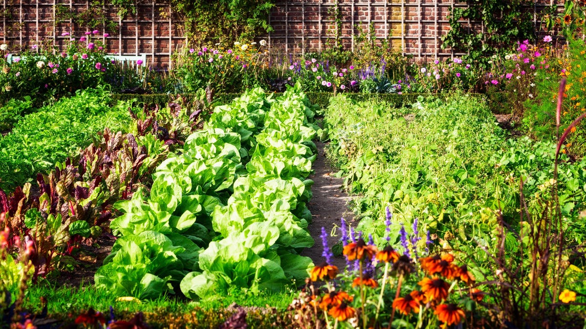 Gardening is often pitched as a relaxing, therapeutic activity—and it is relaxing and therapeutic! But it’s also a sign of how advanced society ha