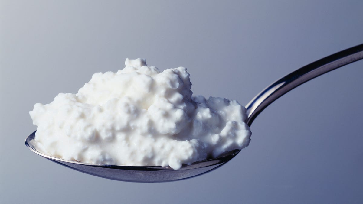 Point Counterpoint Is Cottage Cheese Gross