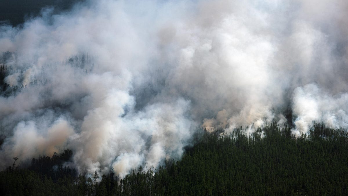 Il fumo degli incendi boschivi in ​​Siberia ha raggiunto il Polo Nord