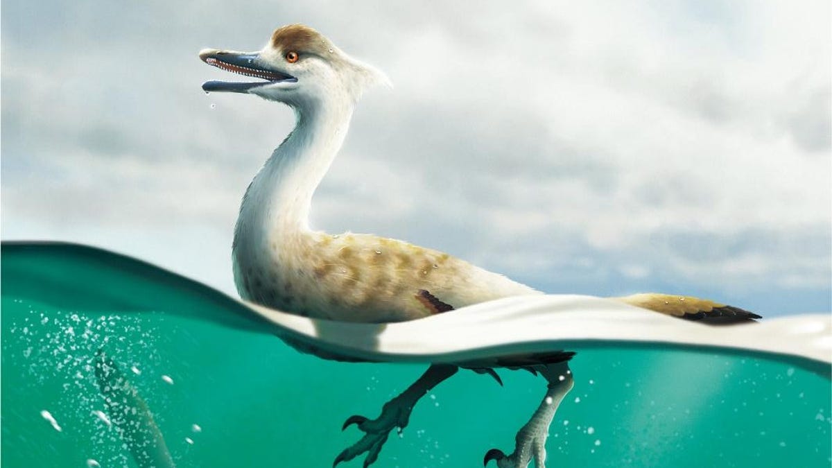 Newly Discovered Dinosaur Looks Like a Nightmare Goose – Gizmodo