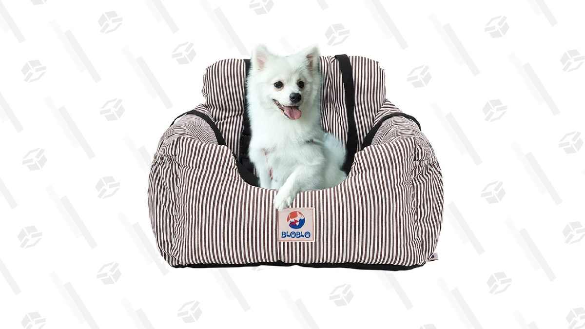 Snag 13 Off the BloBlo Dog Car Seat While Keeping Your Fuzzy Friends