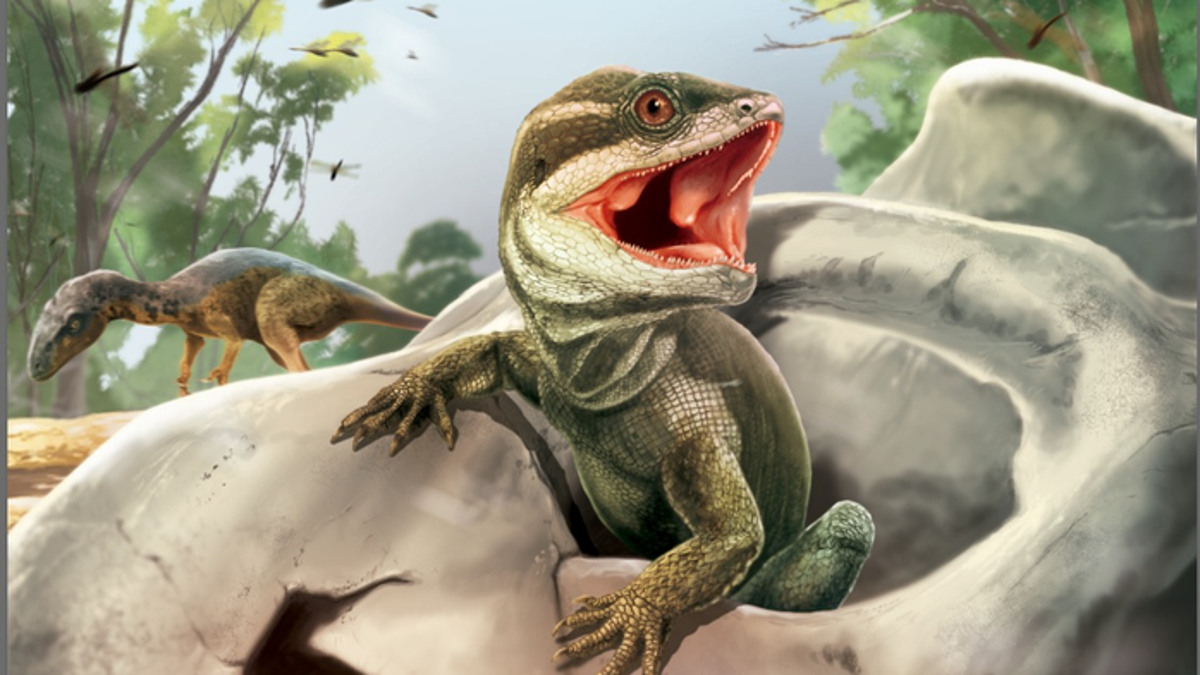 Des reptiles fossiles intéressants fournissent des indices sur l’origine des serpents et des lézards