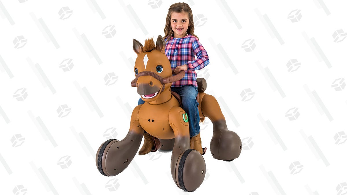 riding animals at walmart