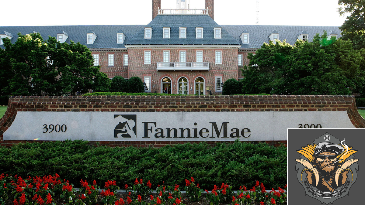 Fannie Mae Issues Billions Of Mortgage-Backed NFTs.