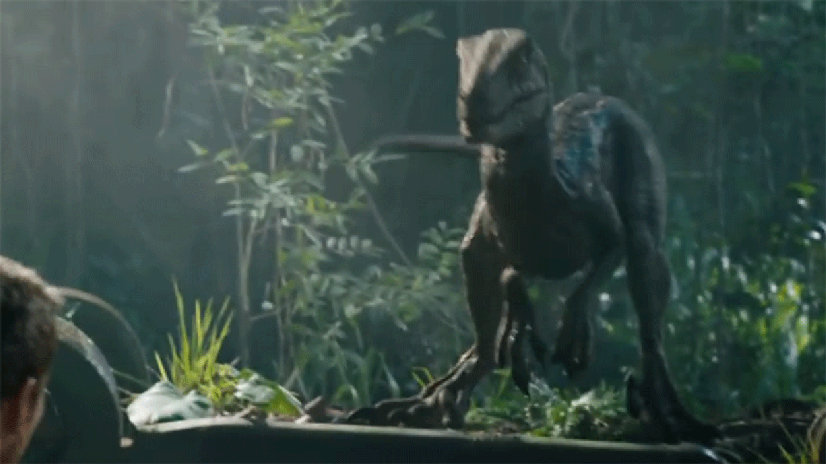 prime 1 studio blue raptor