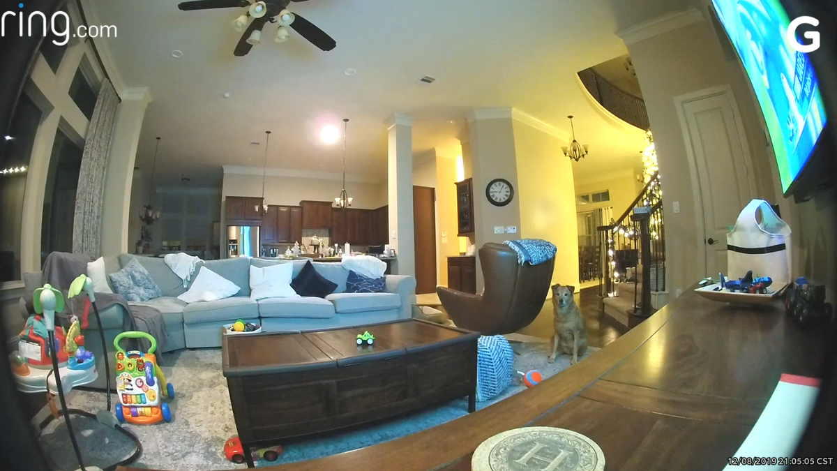 Ring Camera Hacked To Scare A Mother And Her Dog